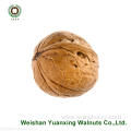 Wholesale Chinese Walnut Kernels Light Pieces(LP)